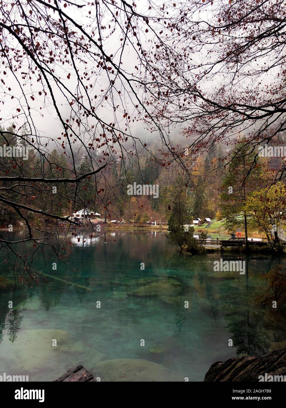 Lago Blausee circondato dal verde che si riflette sull'acqua coperta In nebbia in Svizzera Foto Stock