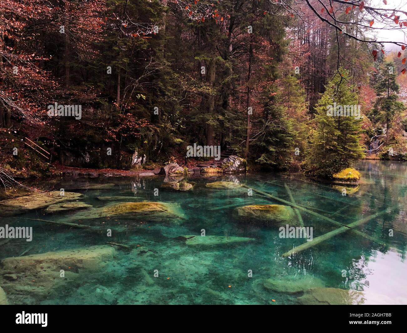 Lago Blausee circondato dal verde che si riflette sull'acqua coperta In nebbia in Svizzera Foto Stock