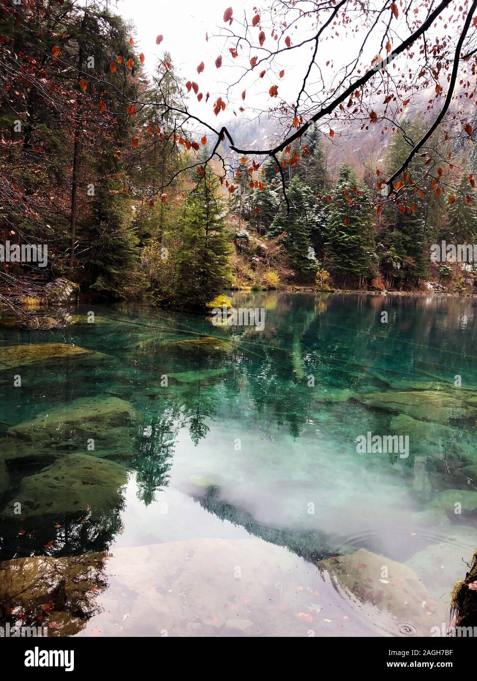Lago Blausee circondato da verde che si riflette sull'acqua in Svizzera Foto Stock