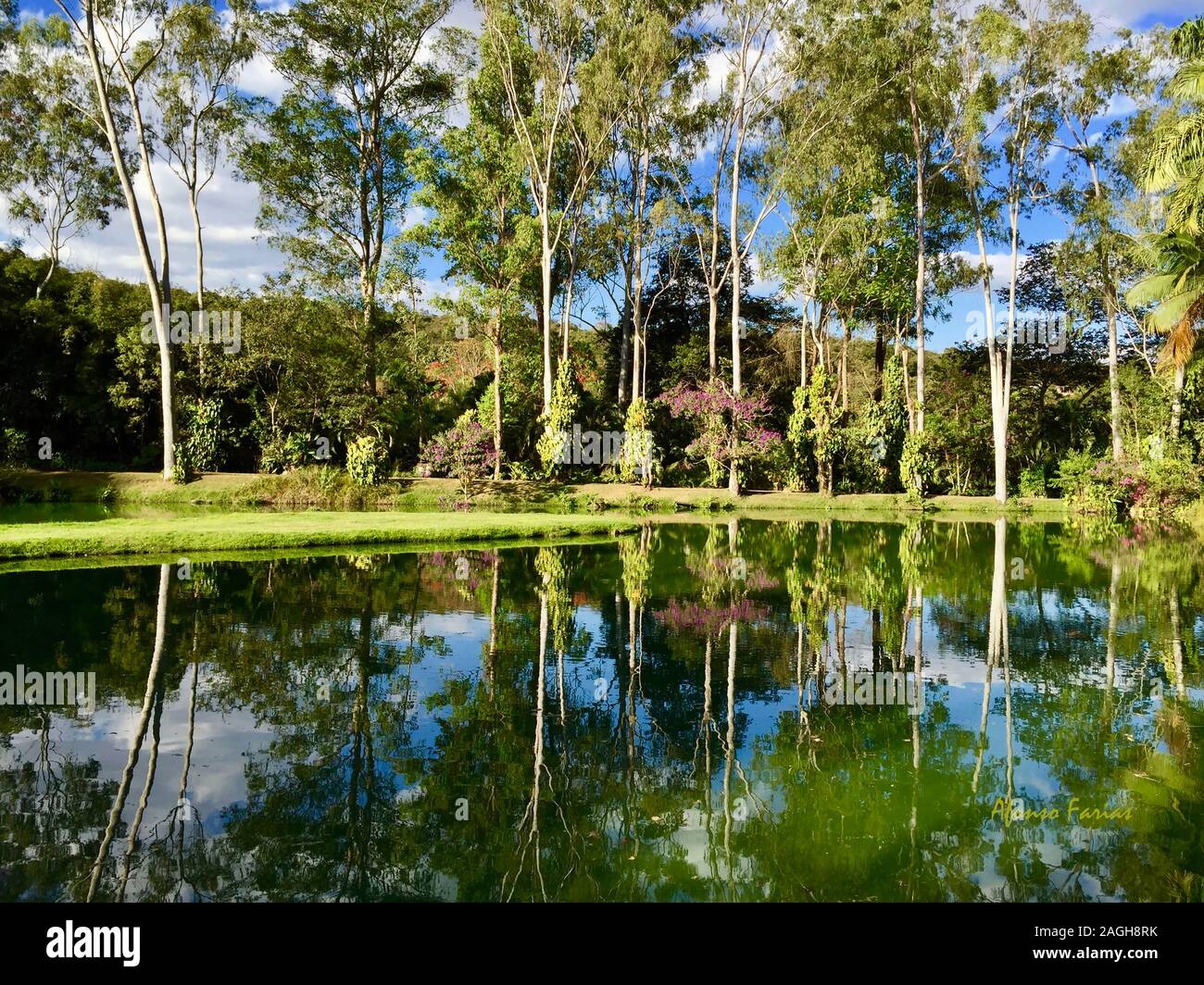 Riflessioni in acqua in Inhotim, Minas Gerais, Brasile Foto Stock