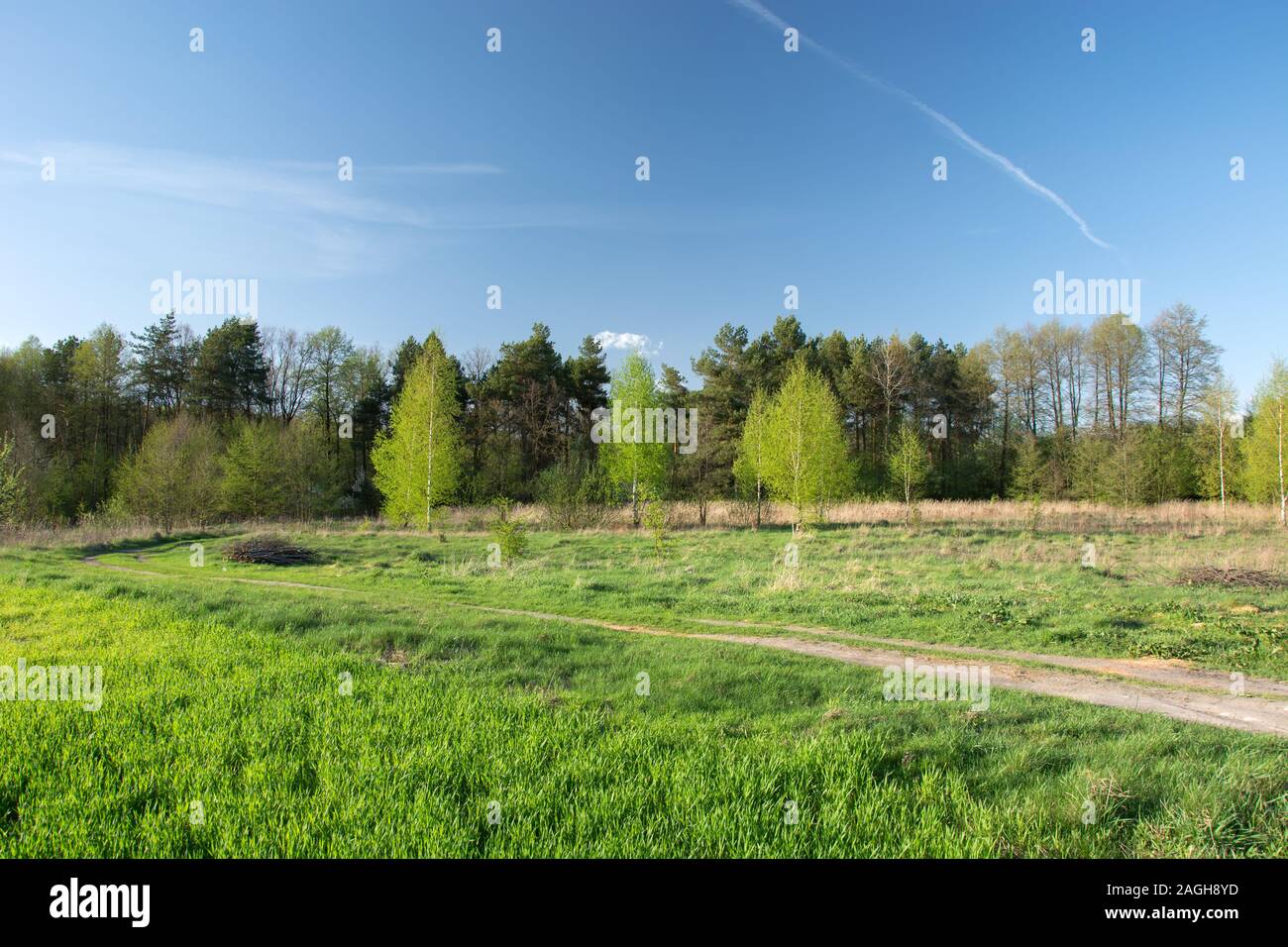 Strada rurale attraverso un prato accanto a una foresta e cielo blu - vista su una soleggiata giornata di primavera Foto Stock