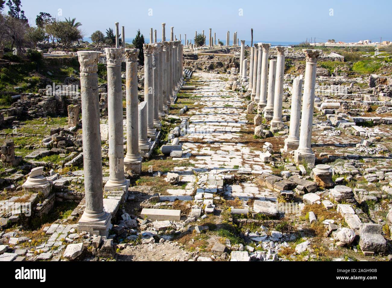 Al Mina sito archeologico, pneumatico, Libano Foto Stock