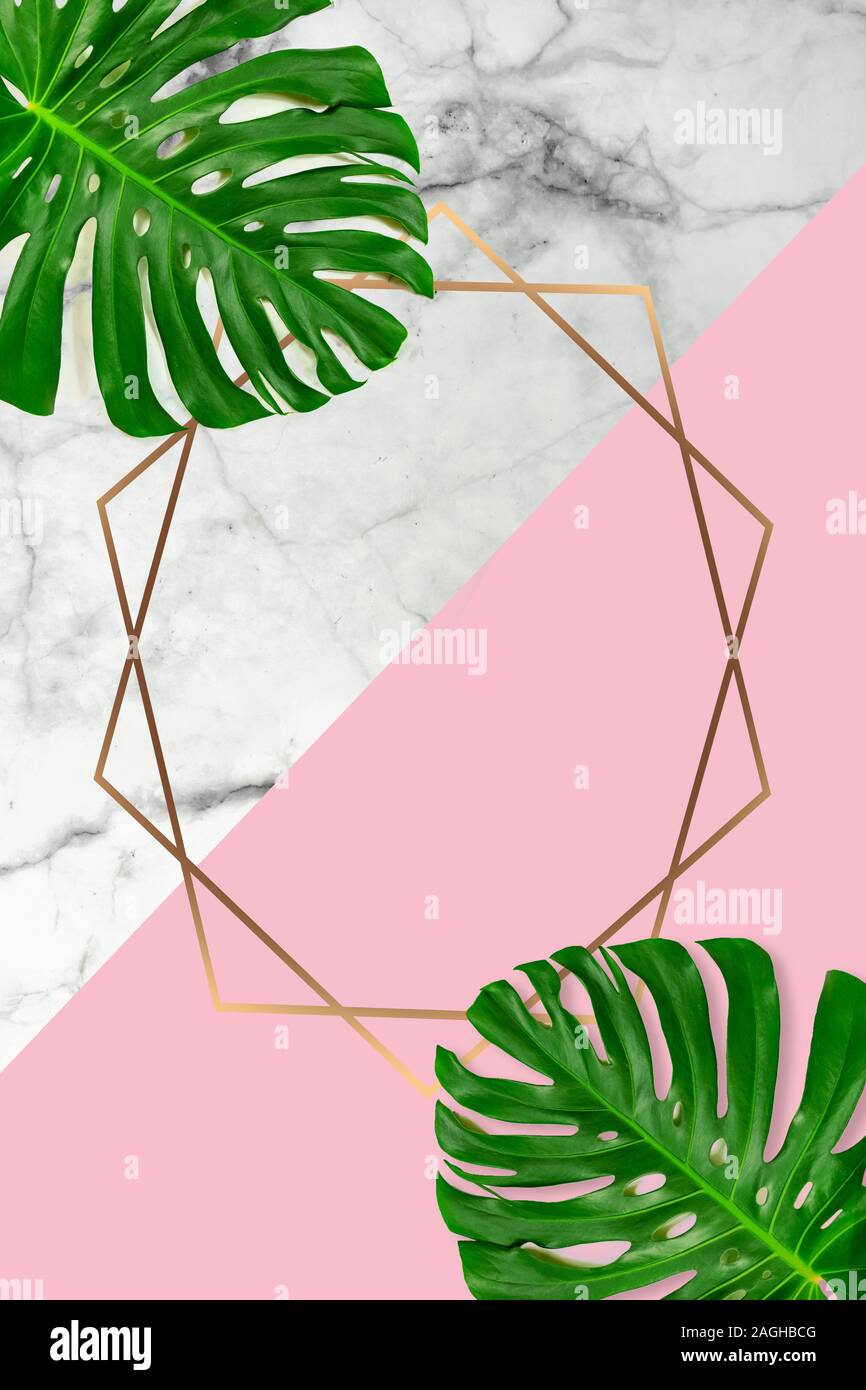 Marmo rosa pastello con uno sfondo con foglie di monstera foglie dorate e telaio di forma per il testo Foto Stock