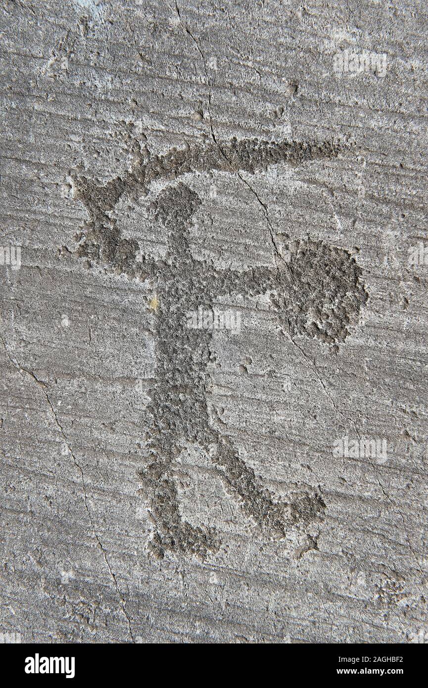 Petroglyph, rock carving, di guerrieri con scudo e spada. Scavate da antichi Camuni persone in età del ferro tra il 1000-1200 A.C. Rock n. 6, Foto Stock