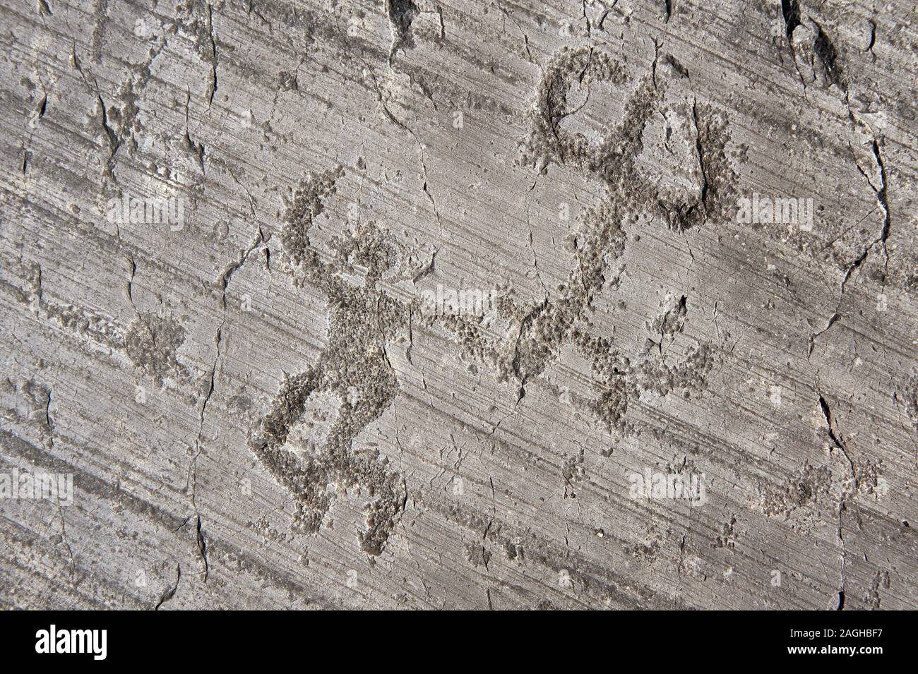 Petroglyph, rock carving, dei due guerrieri di ballo, quello a sinistra ha un casco. Scavate da antichi Camuni persone in età del ferro tra il 1000- Foto Stock