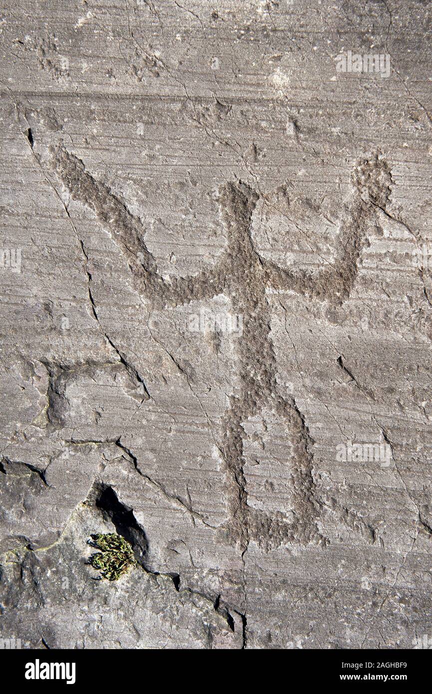 Petroglyph, rock carving, di un guerriero schematica tenendo uno scudo e spada. Scavate da antichi Camuni persone in età del ferro tra 1000-1600 B Foto Stock