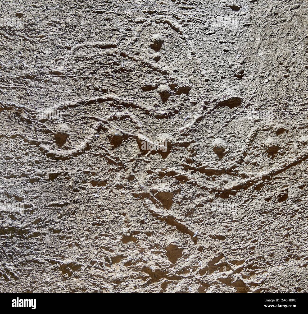 Cast di un preistorico Petroglyph, rock carving, di una rosa di camina in una forma con la svastica intagliati dai Camunni persone in età del ferro tra 1000-1600 Foto Stock