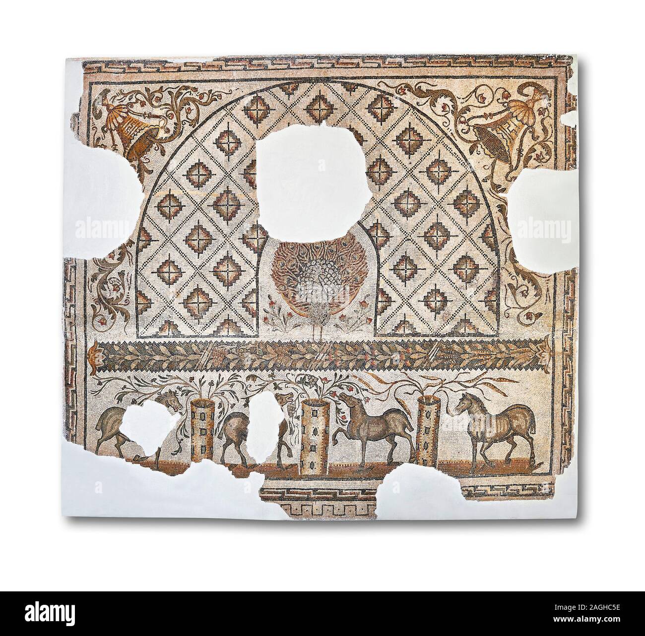 Seconda metà del IV secolo d.c. mosaico romano raffigurazione di un pavone con il tail rialzato piume e cavalli da quattro frazioni del circus . Fr Foto Stock