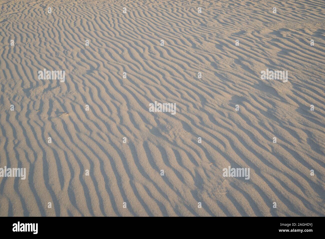 Increspature e onde di sabbia su una spiaggia. Per effetto del vento. Foto Stock