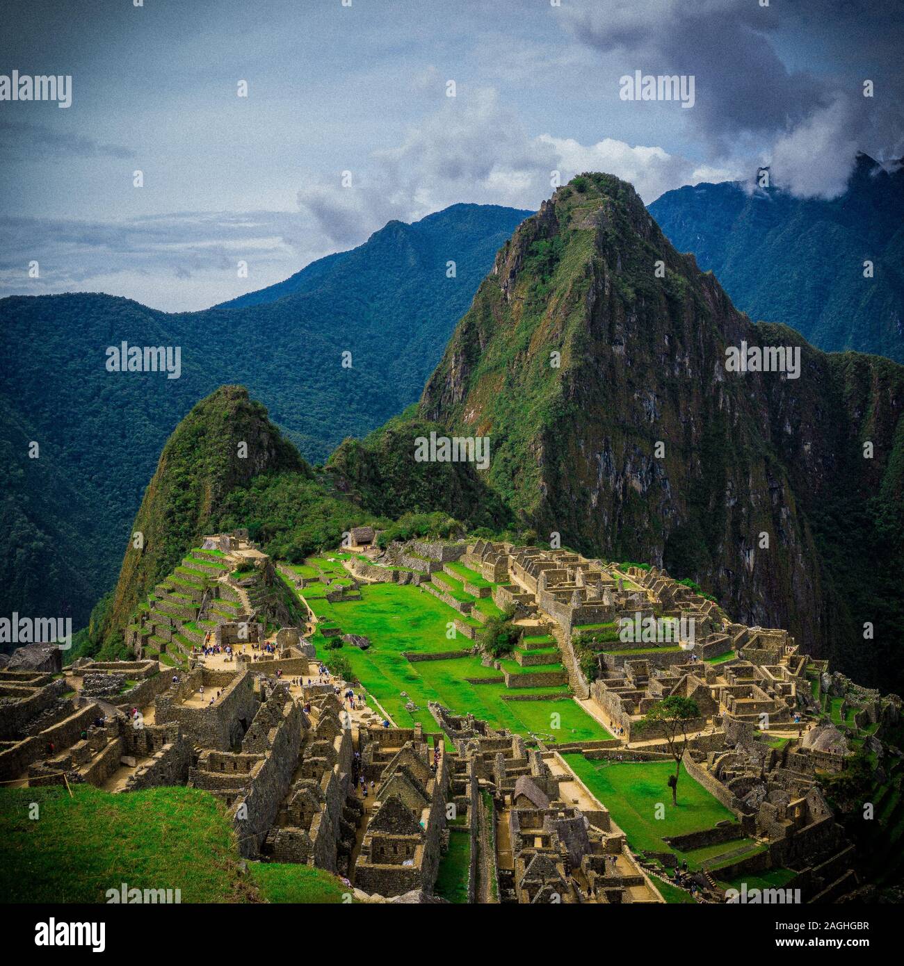 Wayna Picchu, Huayna Picchu, Montagna Sacra degli Inca di Machu Picchu, Cusco Peru Foto Stock