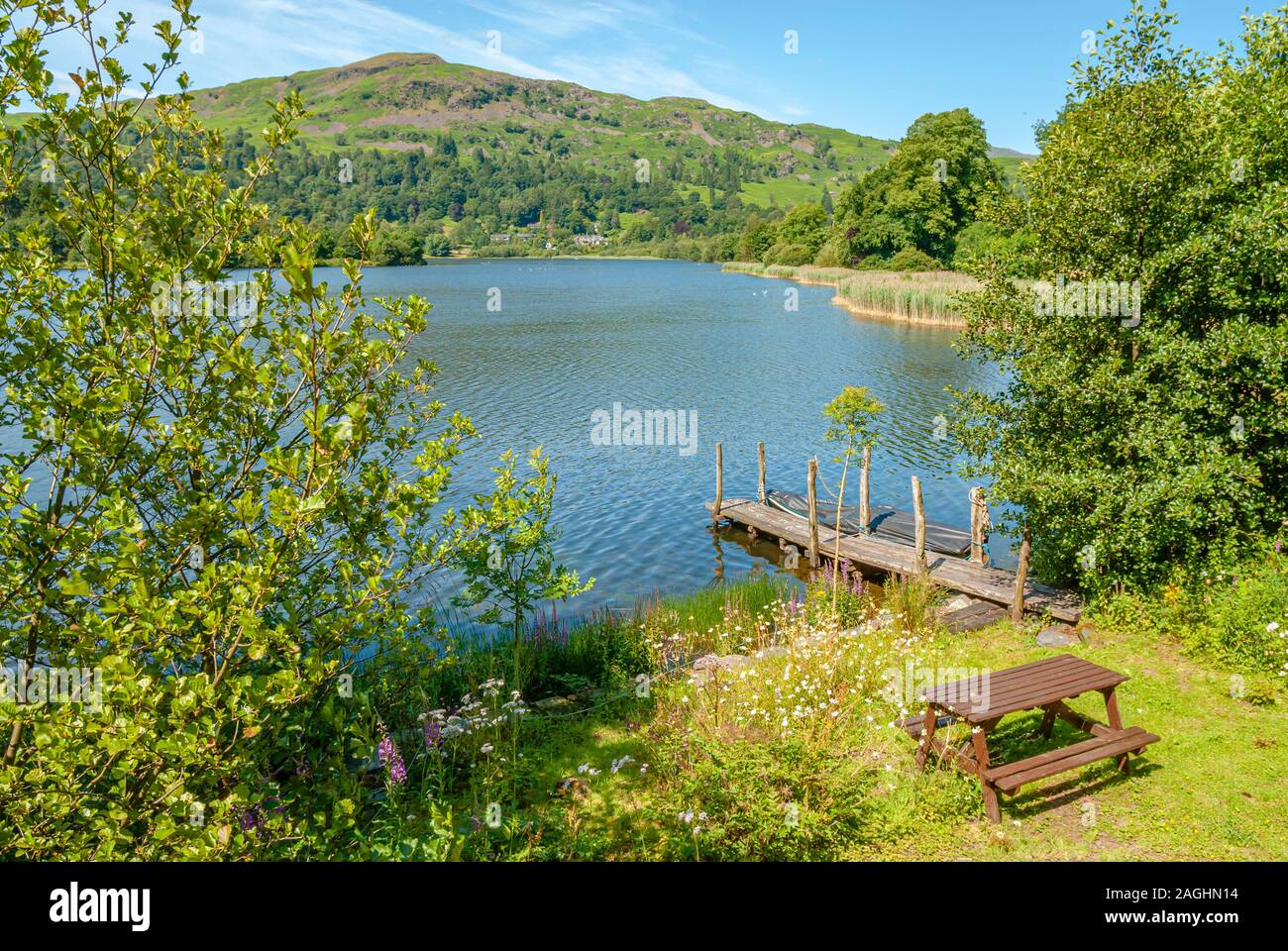 Vista sul lago, Grasmere Cumbria, England, Regno Unito Foto Stock