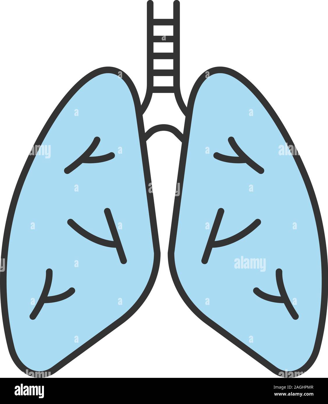 Polmoni umani icona di colore. Il sistema respiratorio anatomia. Isolato illustrazione vettoriale Illustrazione Vettoriale