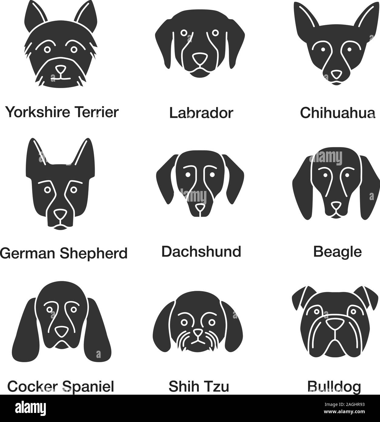 Razze di cani glifo set di icone. Yorkshire Terrier, Labrador, pastore tedesco, Chihuahua, bassotto beagle, Cocker Spaniel, Shih Tzu, Bulldog inglese. Si Illustrazione Vettoriale