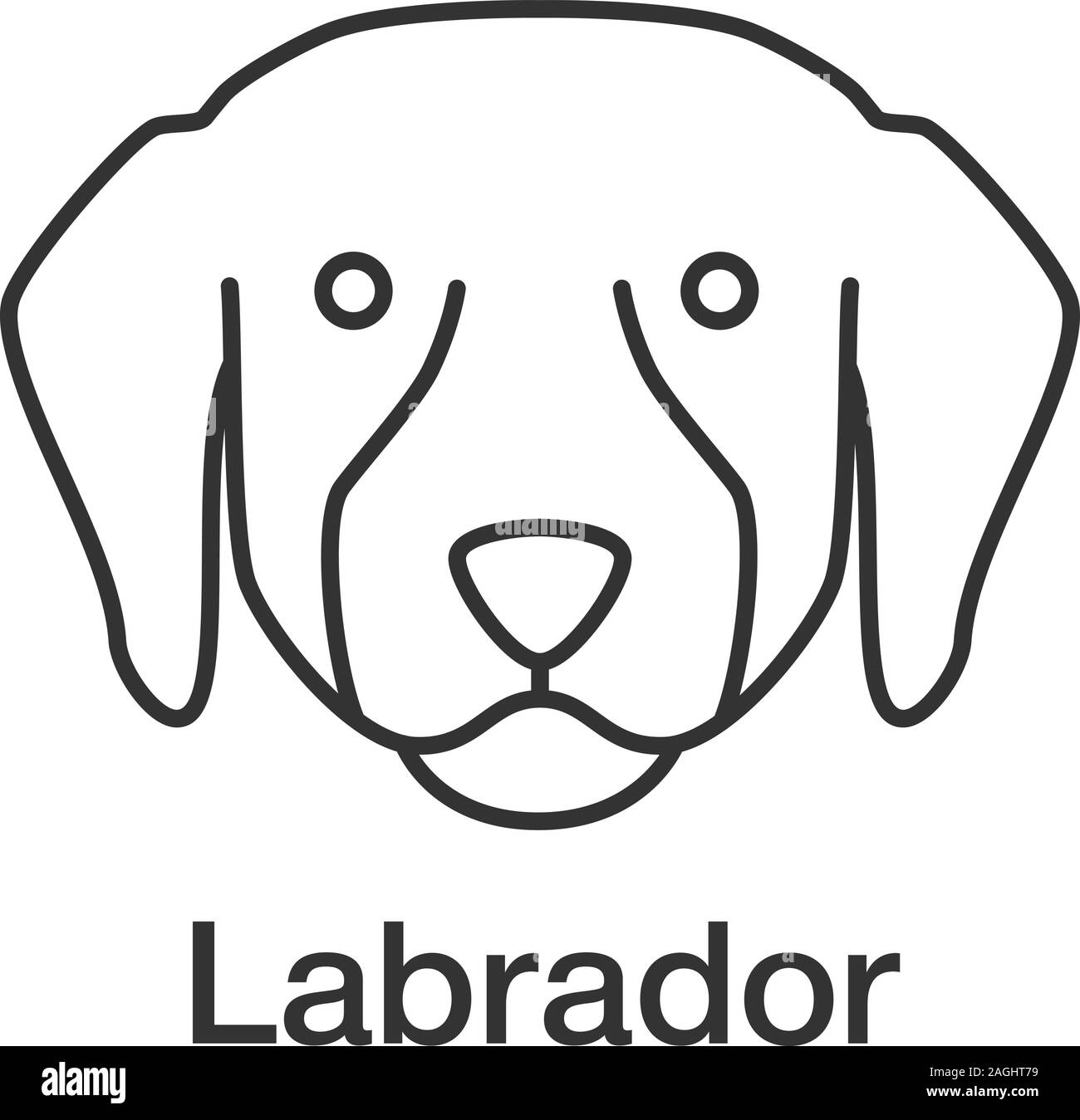 Il Labrador Retriever icona lineare. Lab. Linea sottile illustrazione. Guida di razza del cane. Simbolo di contorno. Il vettore isolato disegno di contorno Illustrazione Vettoriale