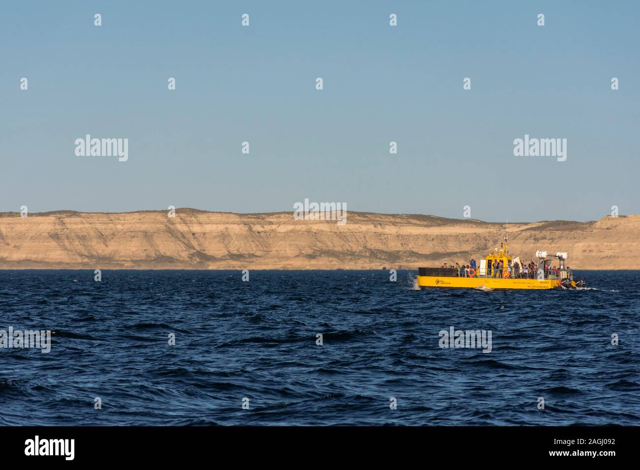 Le persone sulla barca facendo whale watching in Golfo Nuevo, Penisola Valdes, Patagonia, Argentina Foto Stock