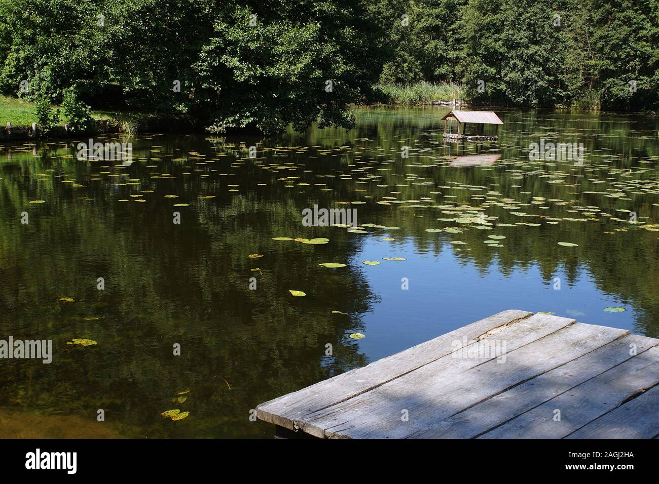 Legno vecchio molo di pesca sul lago nella foresta Foto Stock