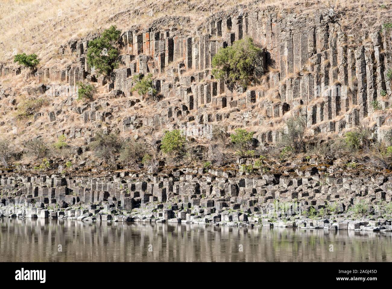 Basalto colonnare formazione lungo Idaho inferiore di un fiume di salmoni. Foto Stock