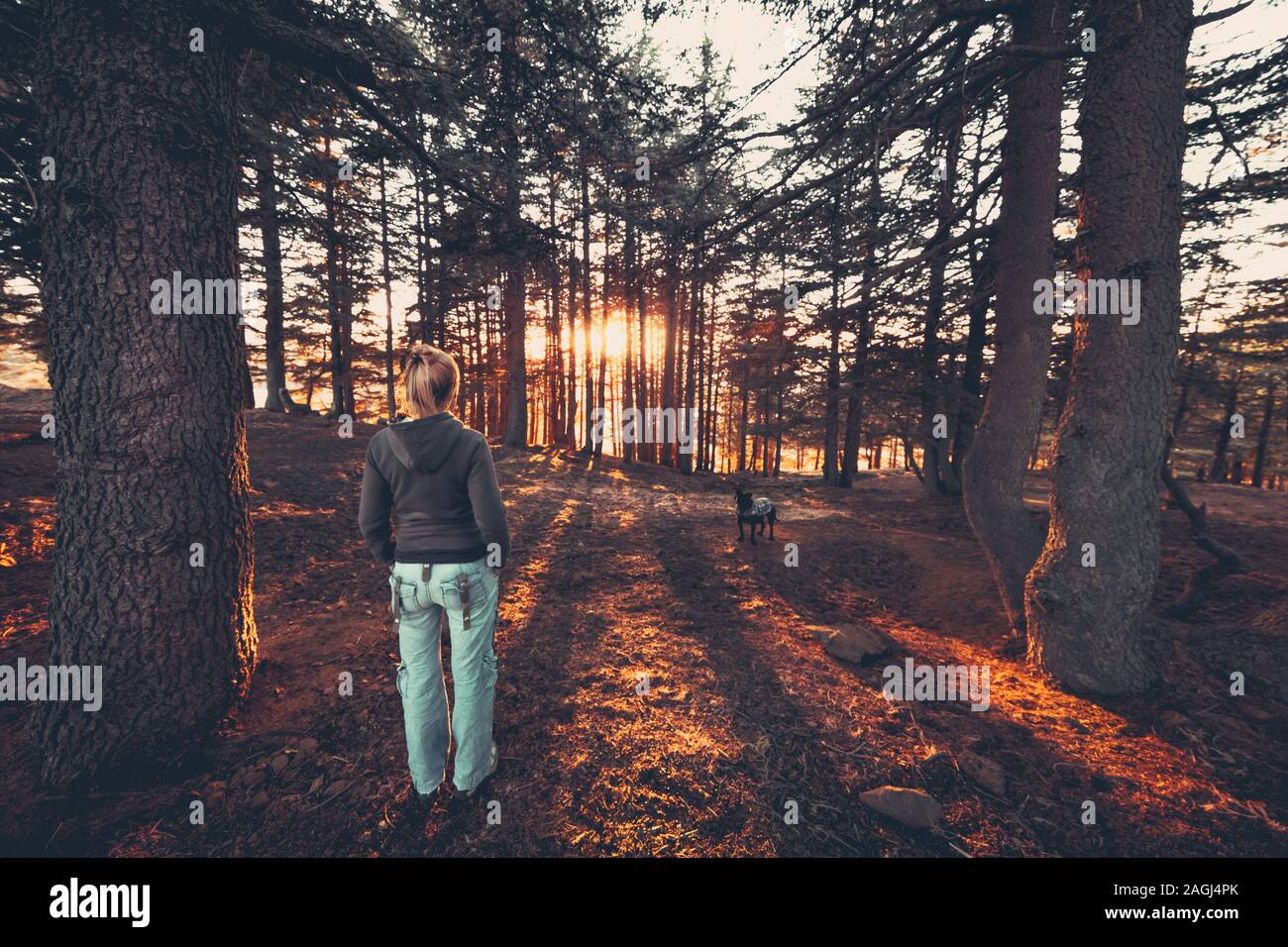 La donna a piedi un cane in autunno la foresta, migliori amici con piacere di trascorrere del tempo insieme all'esterno, tempo felice con un animale da compagnia Foto Stock