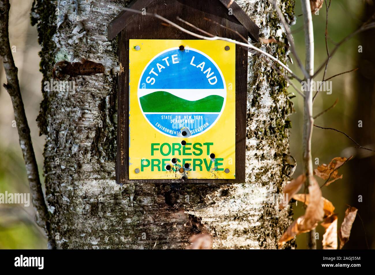 Un metallo sbiadito New York Stato terreno Forest Preserve segno inchiodato una betulla nelle Montagne Adirondack, con fori di proiettile. Foto Stock