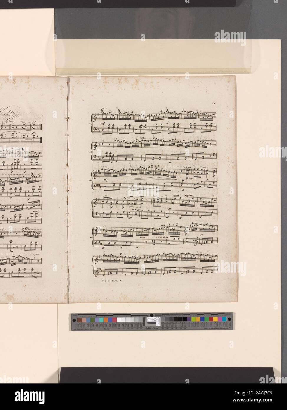 Su pietra: W sto R. Browne, lith. di Pendleton. Il foglio di copertura di musica con la musica. Litografia basata sul 1829 incisione da la serie Petite galerie dramatique, *Tag MGZFB M Gui 3. Piena Lunghezza fino al lato anteriore, guardando a sinistra, salendo sul piede sinistro, mani sulle spalle, fiori nei capelli, sullo sfondo del fogliame.; Mademoiselle Taglioni come lei appare in Guillaume Tell, ballare il pas tyrolien Foto Stock