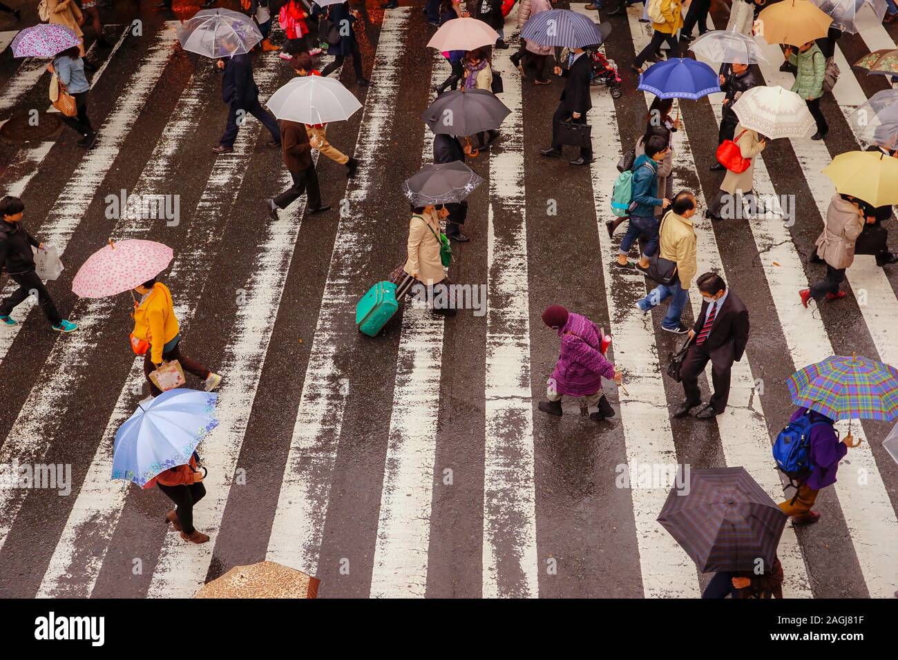 OSAKA, Giappone - 25 novembre 2014: le persone camminare sotto la pioggia in un attraversamento pedonale a Tokyo in Giappone. Foto Stock