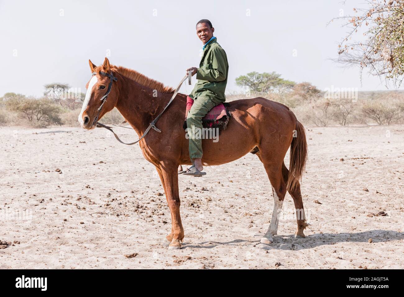 Uomo a cavallo al villaggio locale Zere, deserto Kalahari vicino Rakops, Botswana, Africa Foto Stock