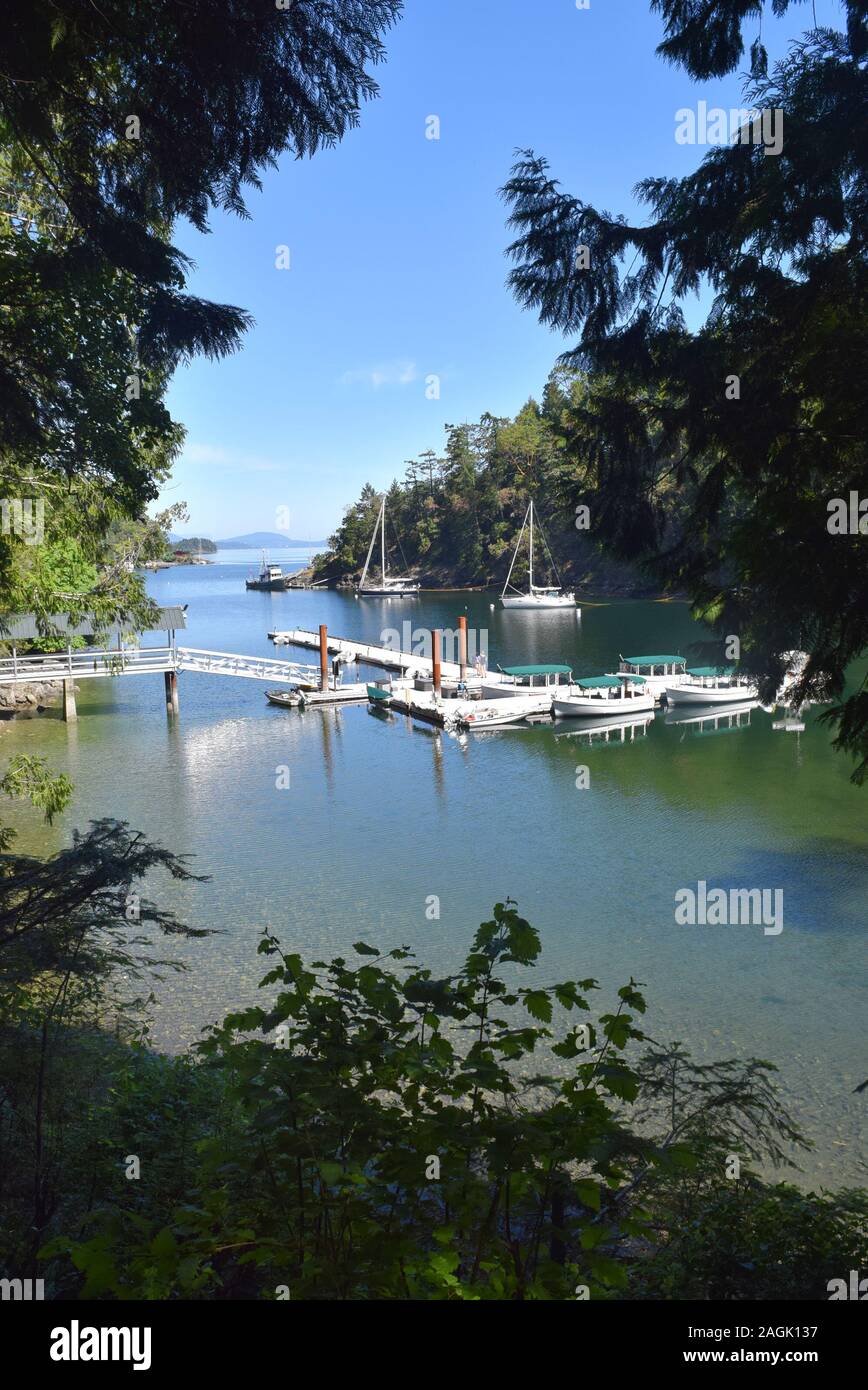 Un piccolo cantiere a Butchart Cove, punto di imbarco per escursioni nell'isola intorno ai Giardini Butchart. Foto Stock