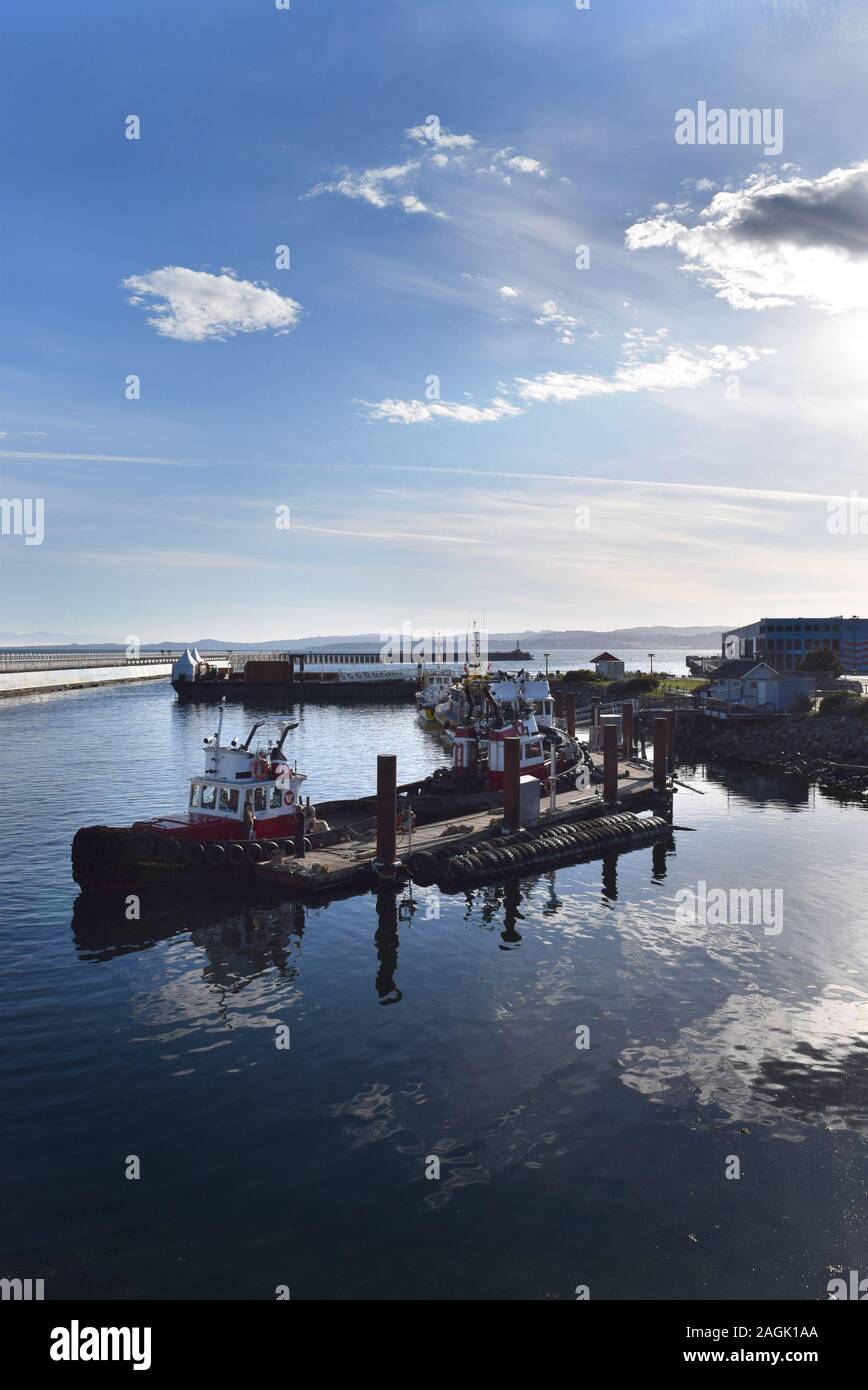 Barche lungo i molti porti a Victoria, British Columbia. Foto Stock