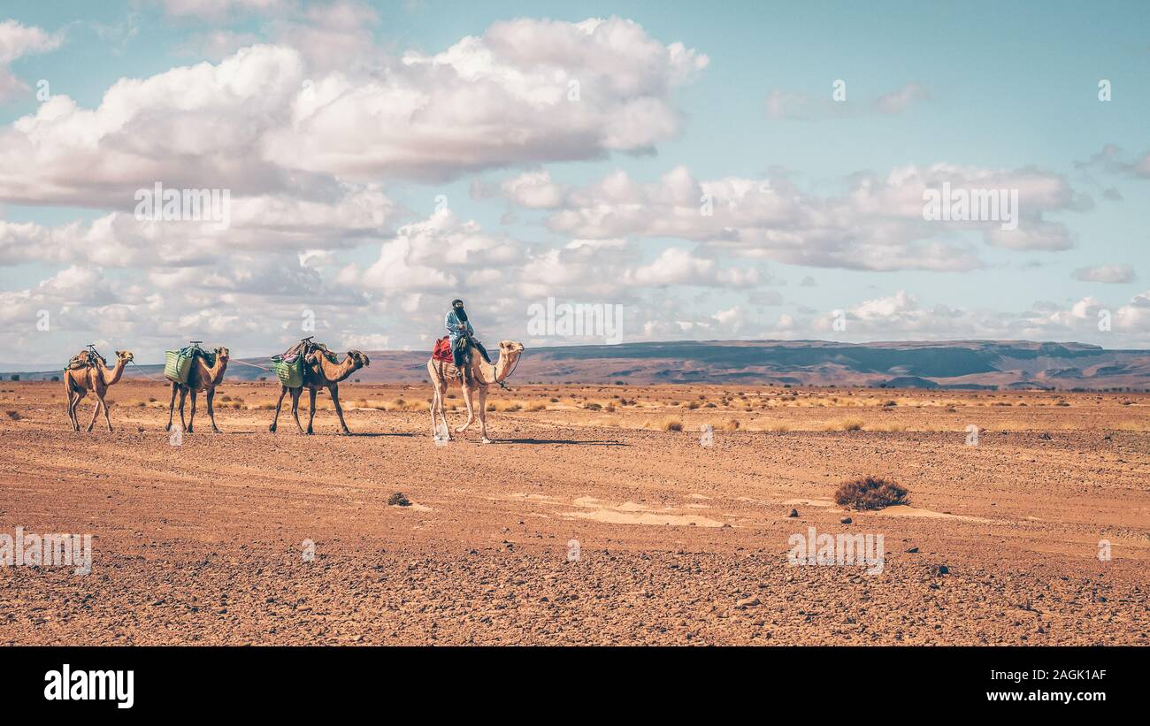 Deserto del Sahara, Marocco - 24 Ottobre, 2015. Un maschio di camel rider indossando il tradizionale abbigliamento nomade porta tre cammelli dromedario lungo una pista sterrata. Foto Stock