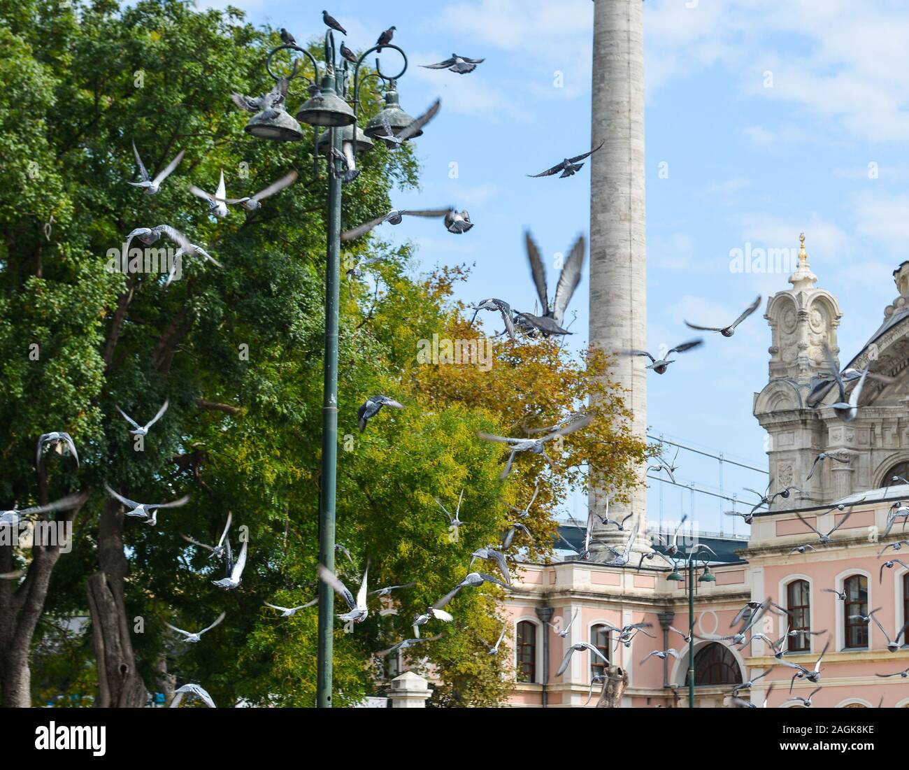 Gli uccelli volare alla antica chiesa nella giornata di sole. Foto Stock