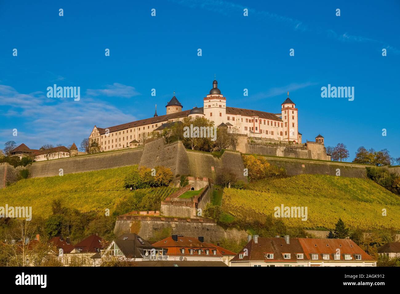 Il castello Festung Marienberg è situato su una collina sopra la città, circondata da vigneti e alberi Foto Stock