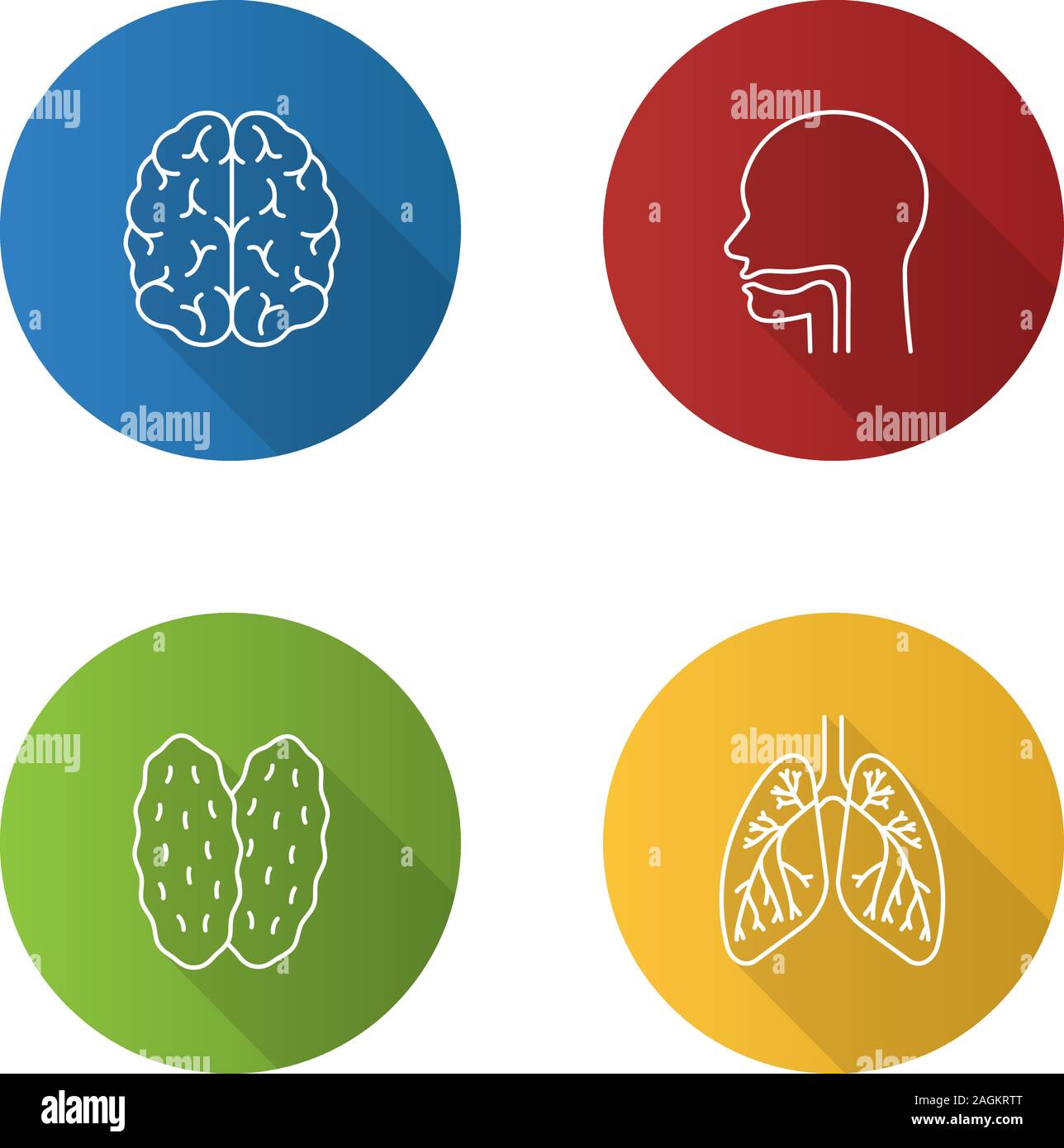 Gli organi interni lineare piana lunga ombra set di icone. Cervello, la cavità orale, timo, polmoni con dei bronchi e dei bronchioli. Vettore illustrazione di contorno Illustrazione Vettoriale