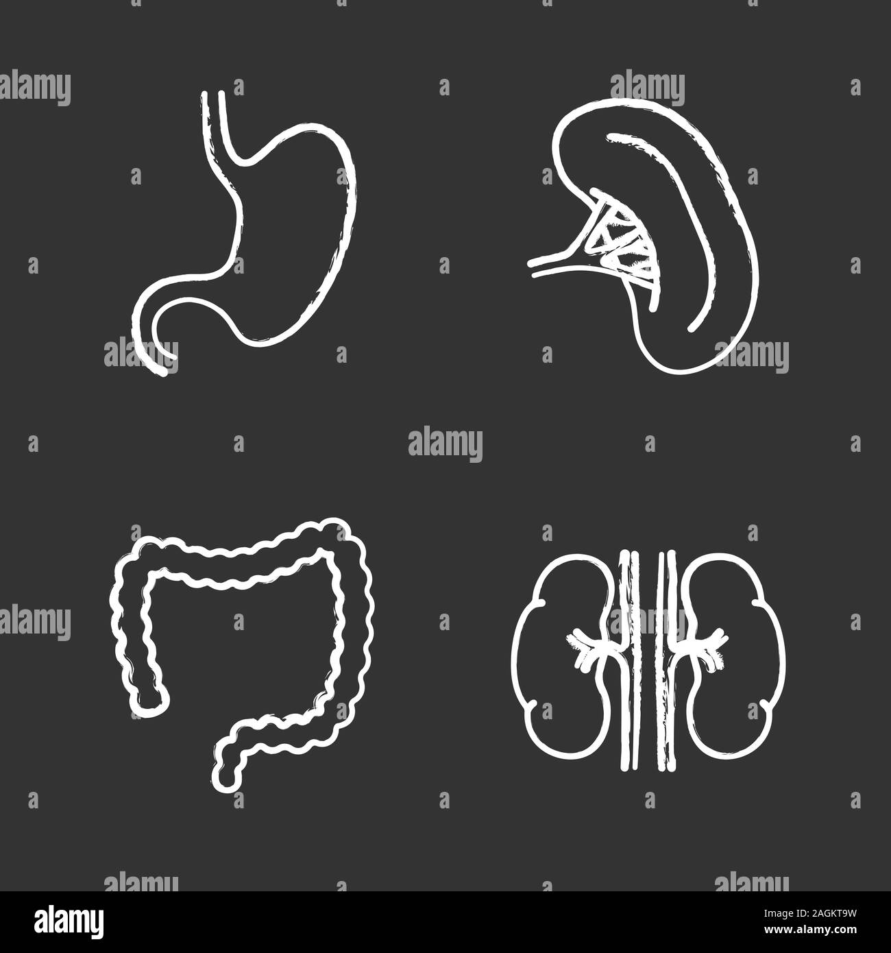 Gli organi interni di chalk set di icone. Stomaco, reni, intestino crasso, milza. Vettore isolato illustrazioni della lavagna Illustrazione Vettoriale