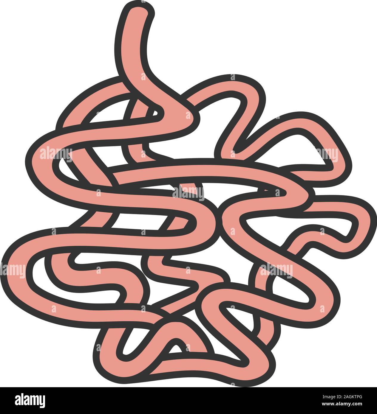 Intestino tenue colore icona. Piccolo intestino. Tratto gastrointestinale. Isolato illustrazione vettoriale Illustrazione Vettoriale