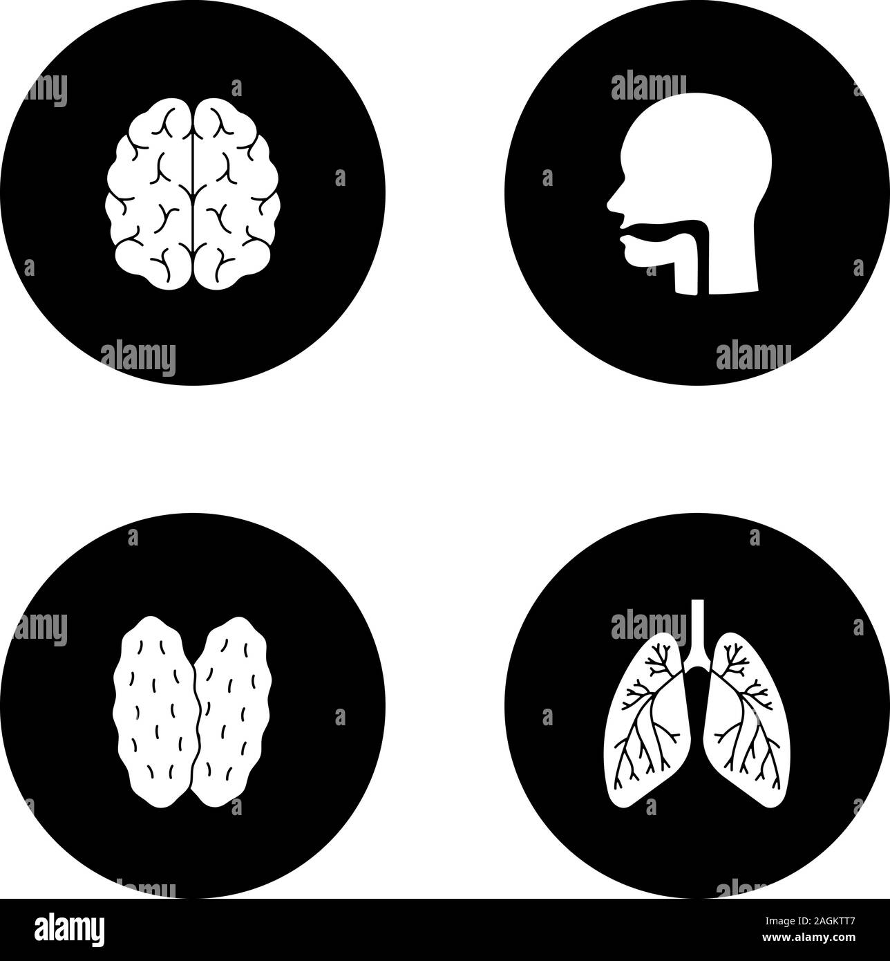 Gli organi interni di glifi set di icone. Cervello, la cavità orale, timo, polmoni con dei bronchi e dei bronchioli. Vettore silhouette bianca illustrazioni in nero circl Illustrazione Vettoriale