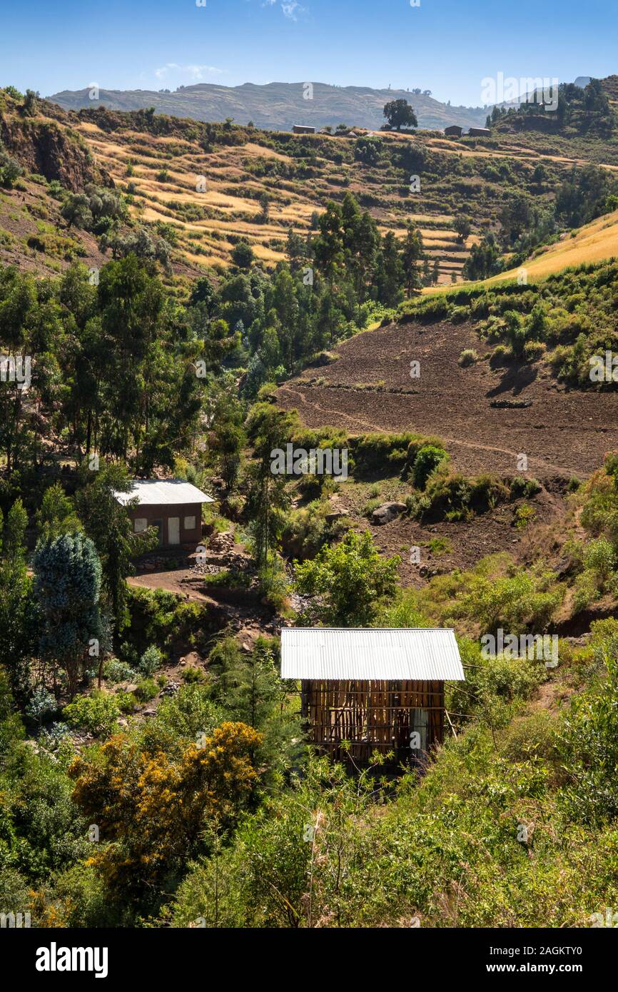 Etiopia, Amhara Region, Lalibela, Yemrehanna Kristos village, agricoltura, rifugi in gola rocciosa al di sotto a Schiera campi di orzo è pronta per il raccolto Foto Stock
