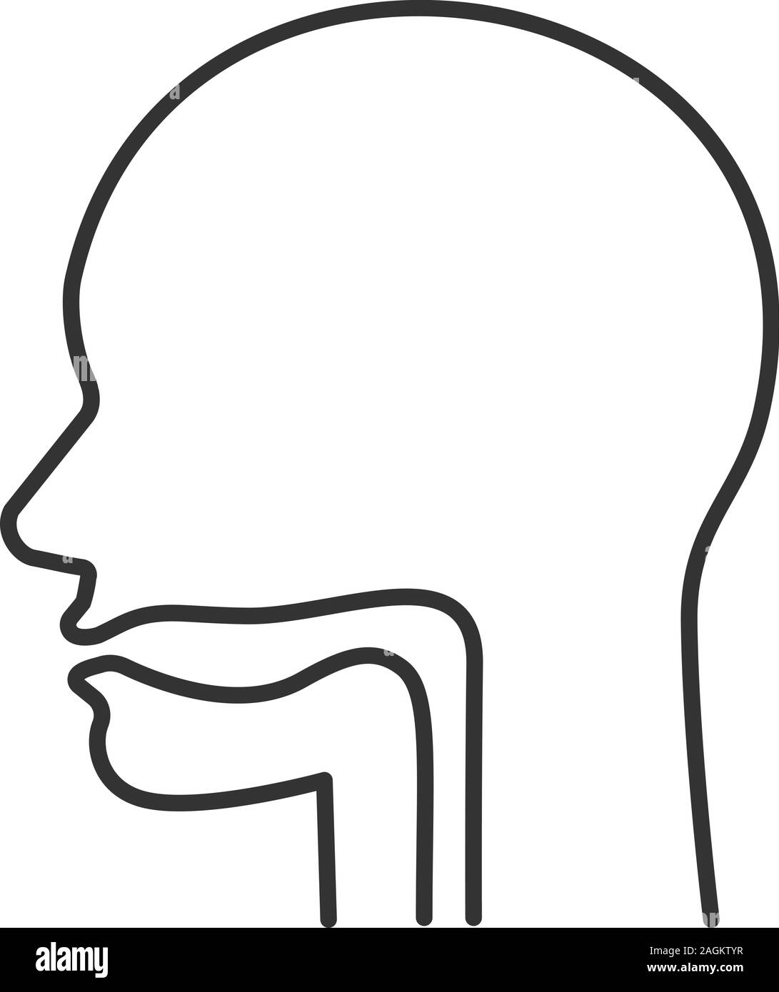 La cavità orale, della faringe ed esofago icona lineare. Linea sottile illustrazione. Sezione superiore del canale alimentare. Simbolo di contorno. Il vettore isolato dra di contorno Illustrazione Vettoriale