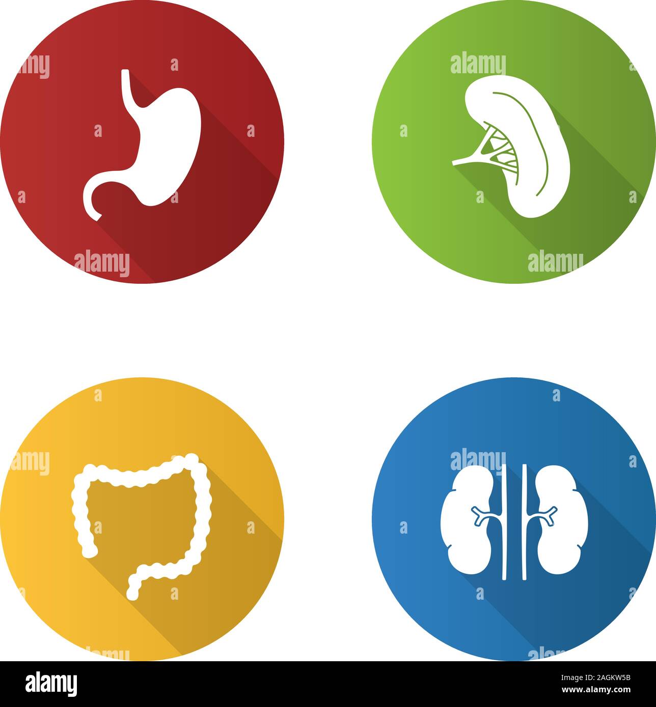 Organi interni design piatto lungo ombra glifo set di icone. Stomaco, reni, intestino crasso, milza. Vettore illustrazione silhouette Illustrazione Vettoriale
