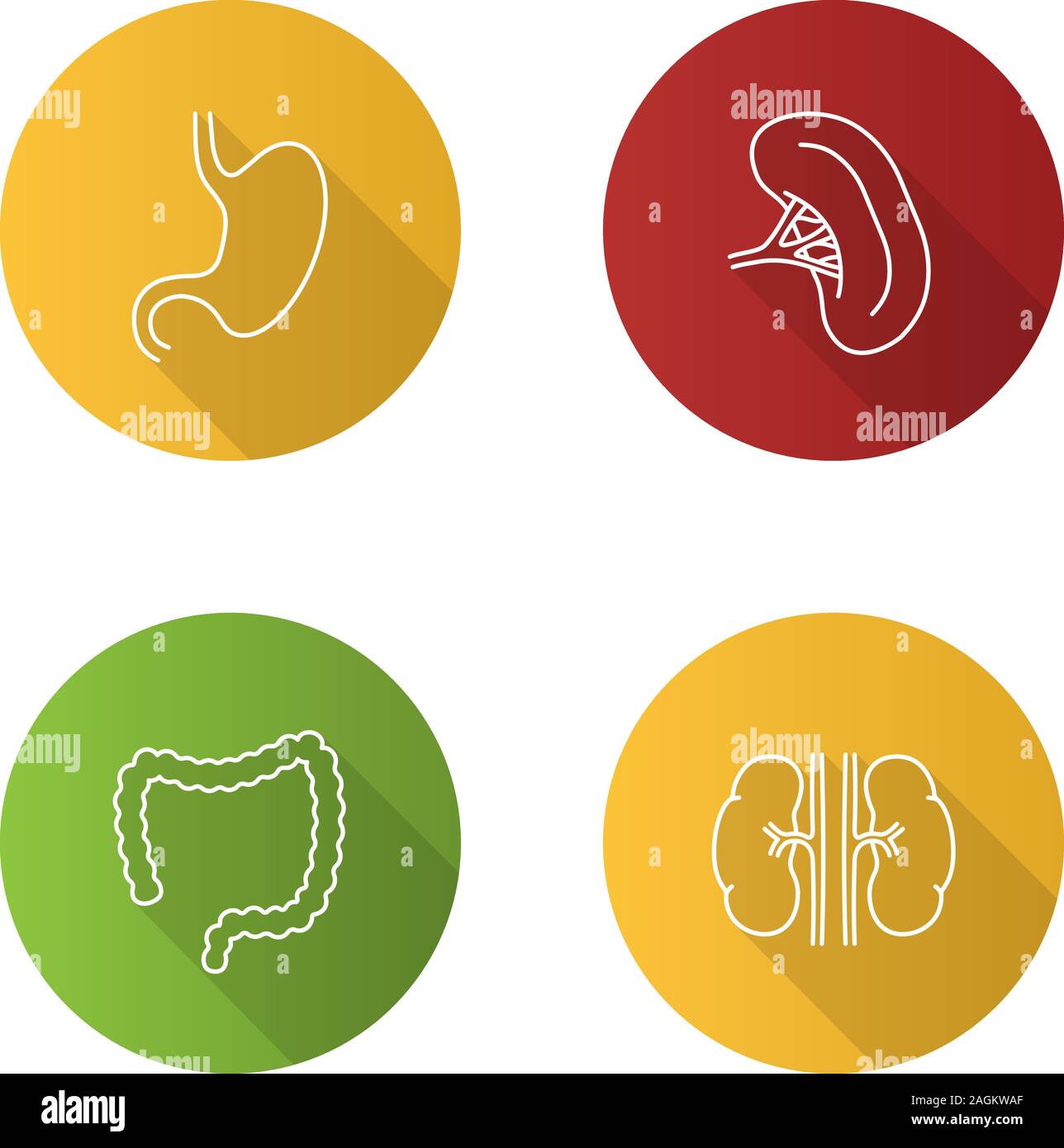 Gli organi interni lineare piana lunga ombra set di icone. Stomaco, reni, intestino crasso, milza. Vettore illustrazione di contorno Illustrazione Vettoriale