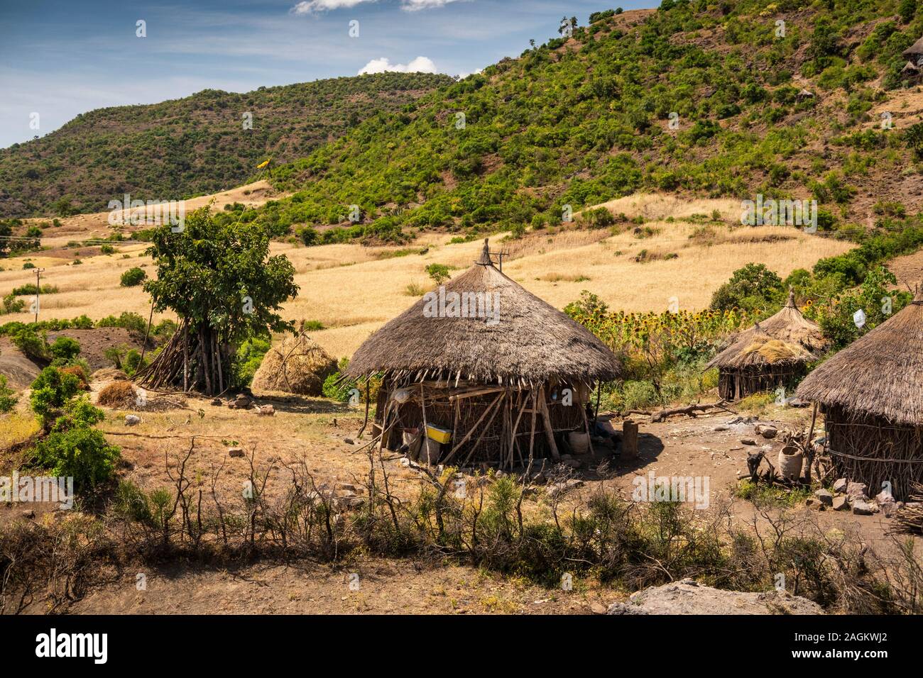 Etiopia, Amhara Region, Lalibela, Bilbala, circolare tradizionale case in paglia in piccola agricoltura, villaggio Foto Stock