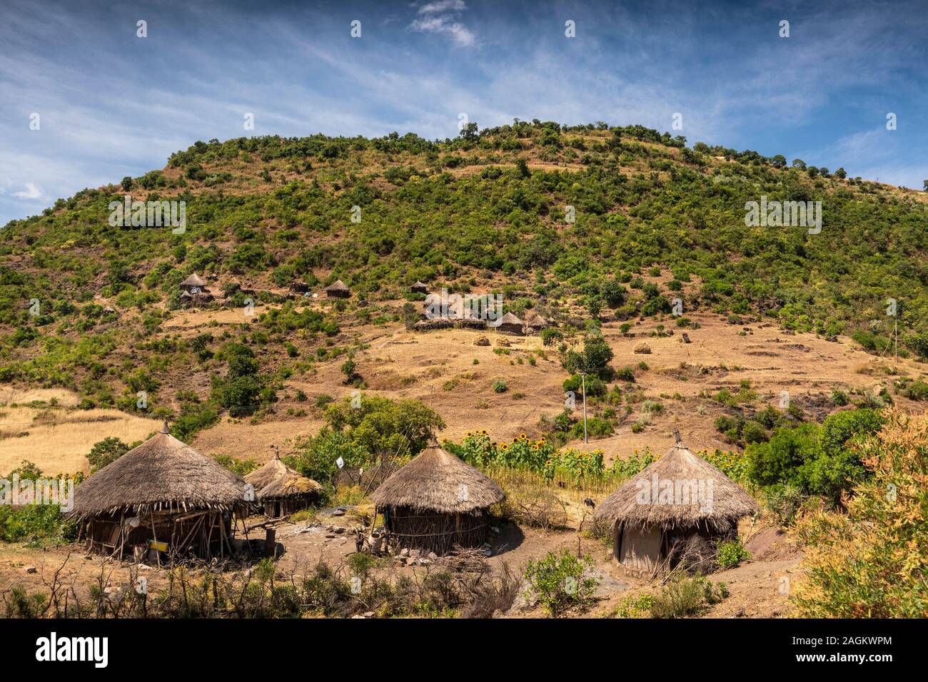Etiopia, Amhara Region, Lalibela, Bilbala, circolare tradizionale case dal tetto di paglia nel piccolo borgo agricolo Foto Stock