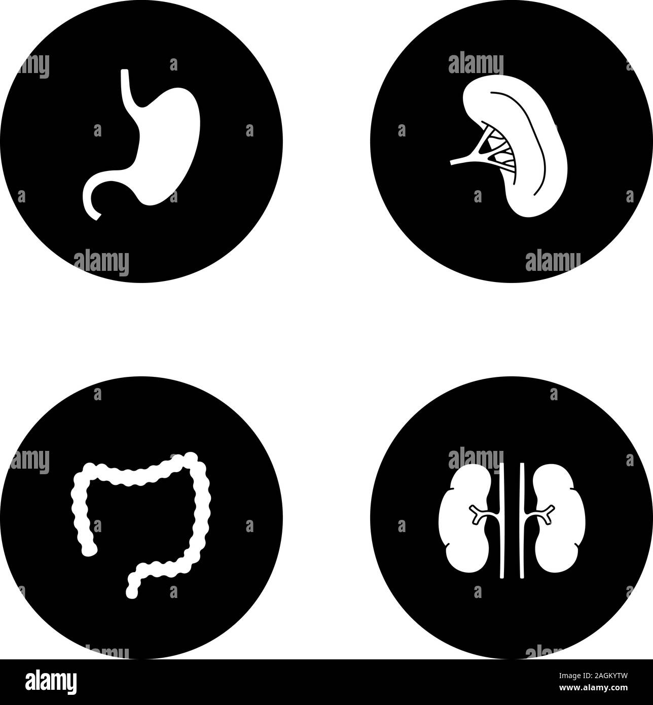 Gli organi interni di glifi set di icone. Stomaco, reni, intestino crasso, milza. Vettore silhouette bianca illustrazioni di cerchi neri Illustrazione Vettoriale