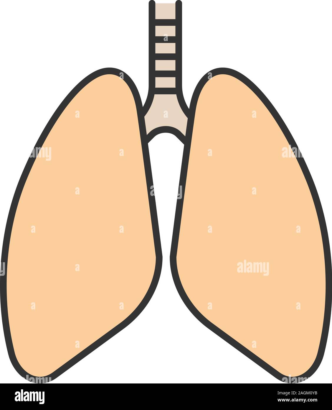 Polmoni umani icona di colore. Il sistema respiratorio anatomia. Isolato illustrazione vettoriale Illustrazione Vettoriale