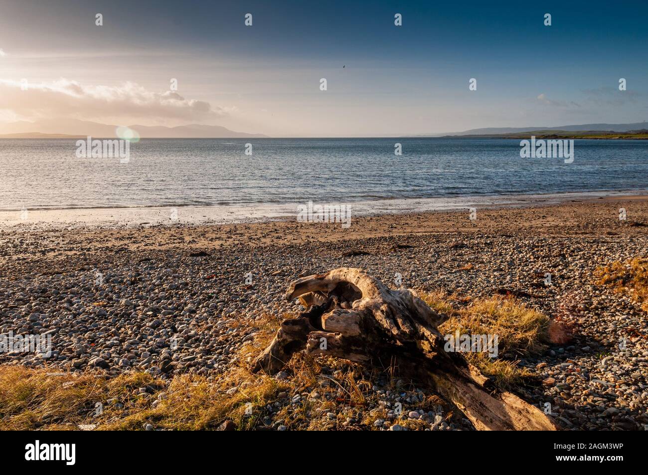 Driftwood giace sulla spiaggia ghiaiosa di Ettrick Bay in Scozia Isle of Bute, con il Firth of Clyde e Isle of Arran dietro. Foto Stock