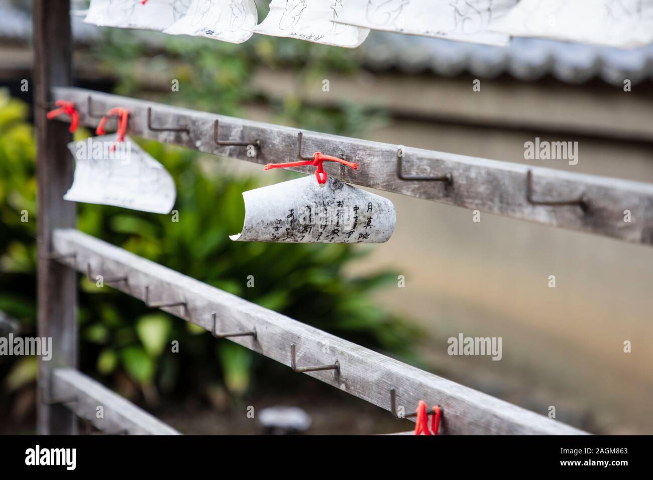 Le schede con preghiere e voluto nel santuario giapponese di Kyoto Foto Stock