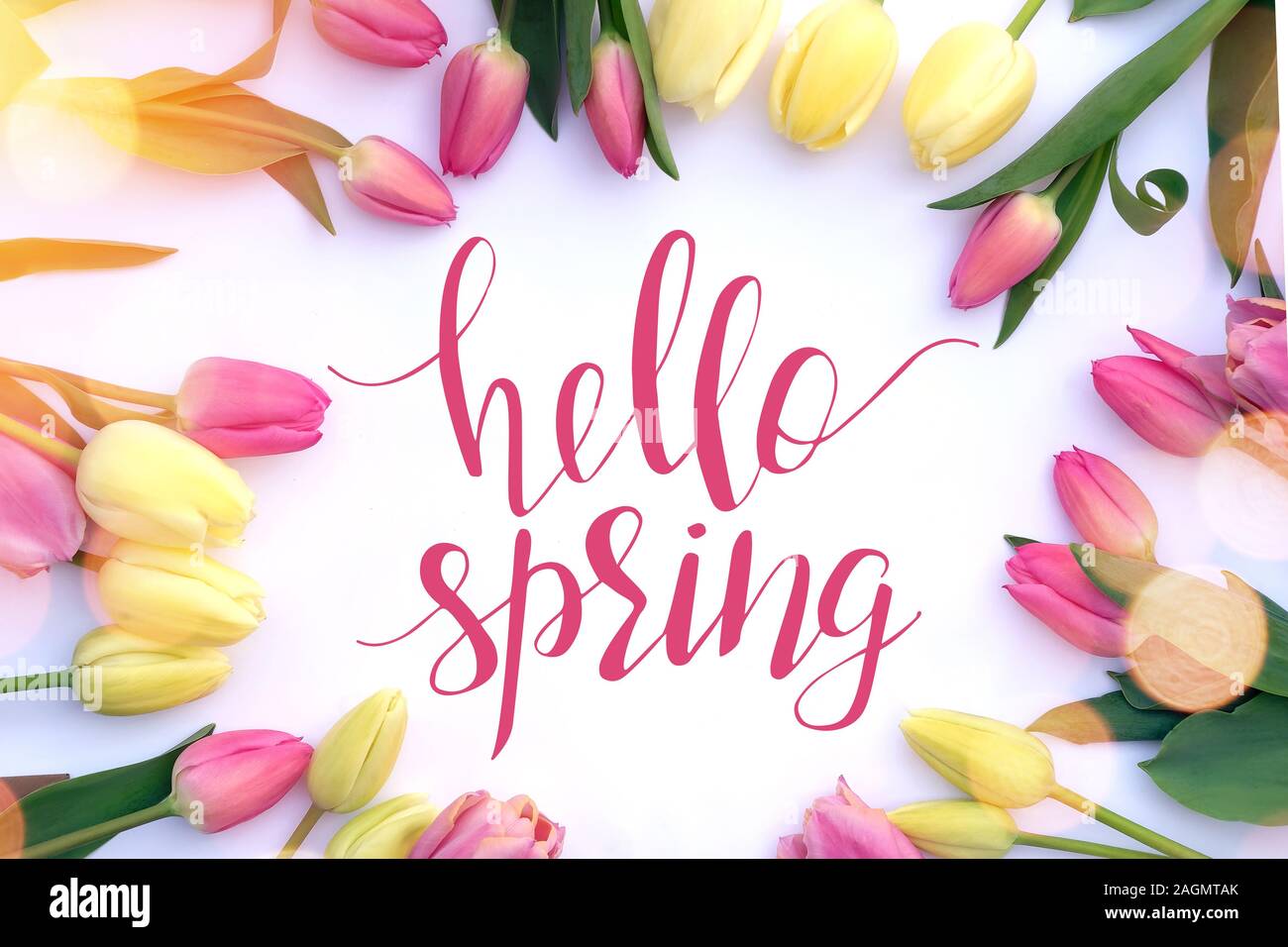 Colorati tulipani freschi su sfondo bianco e testo ciao molla. Foto Stock