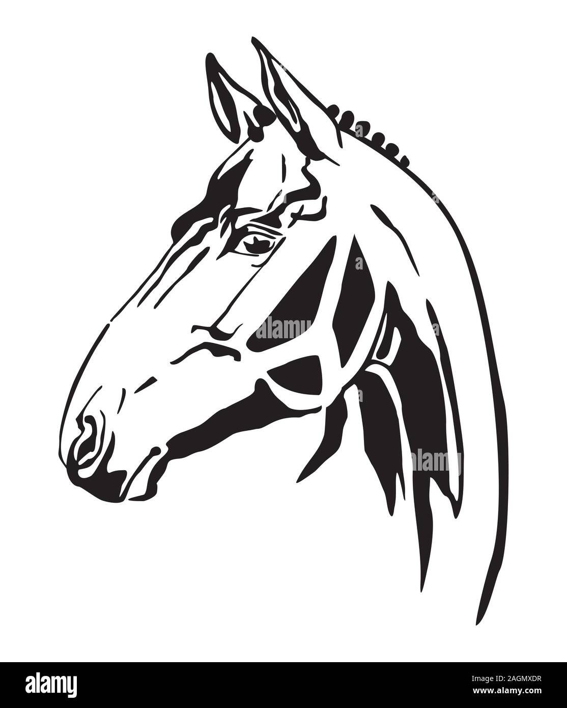 Decorativo contorno monocromatica ritratto di cavallo da corsa cercando di profilo, illustrazione vettoriale in colore nero isolato su sfondo bianco. Immagine per accedere Illustrazione Vettoriale