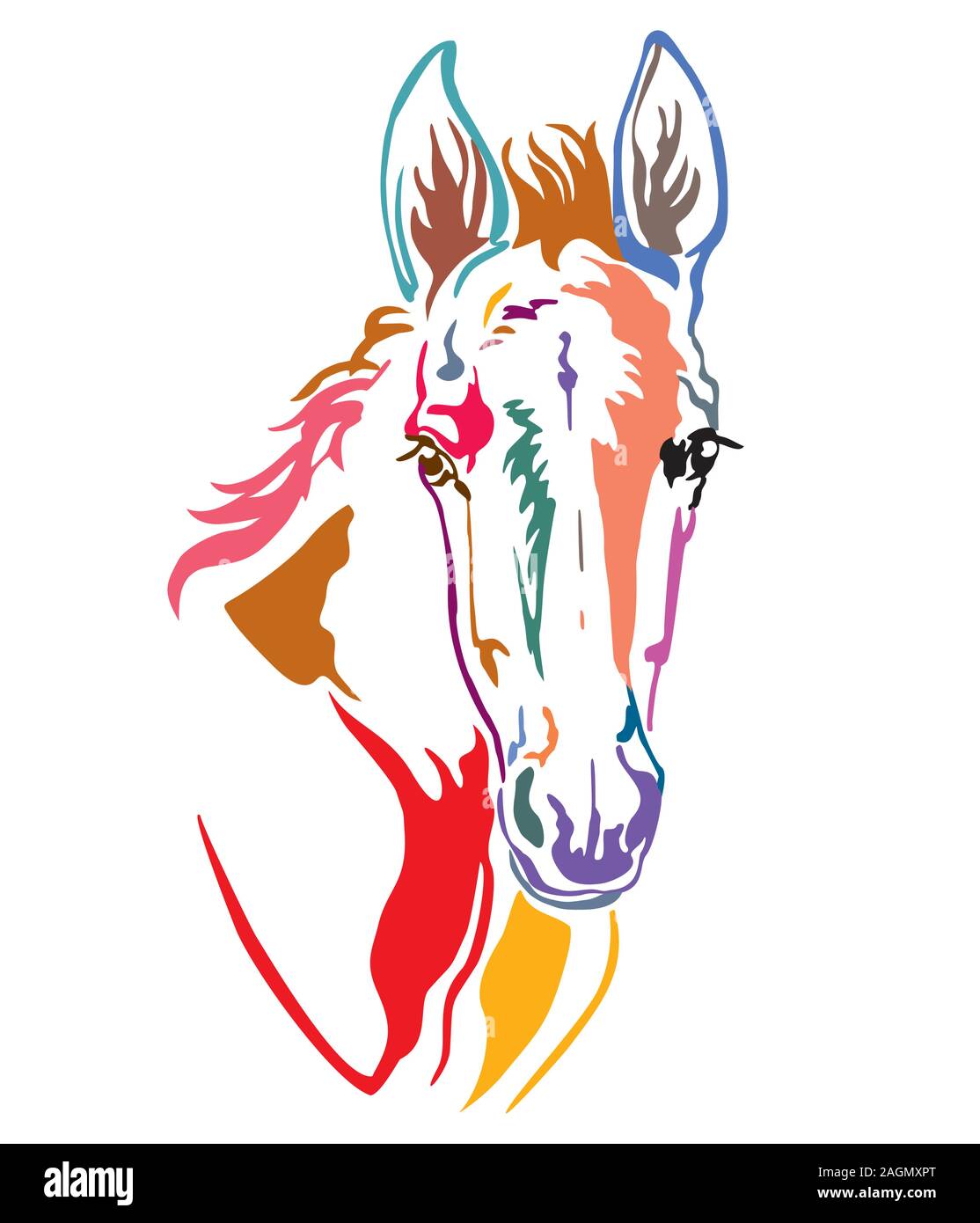 Colorato contorno decorativo ritratto di funny puledro, illustrazione vettoriale in colori diversi isolati su sfondo bianco. Immagine del logo, design e t Illustrazione Vettoriale