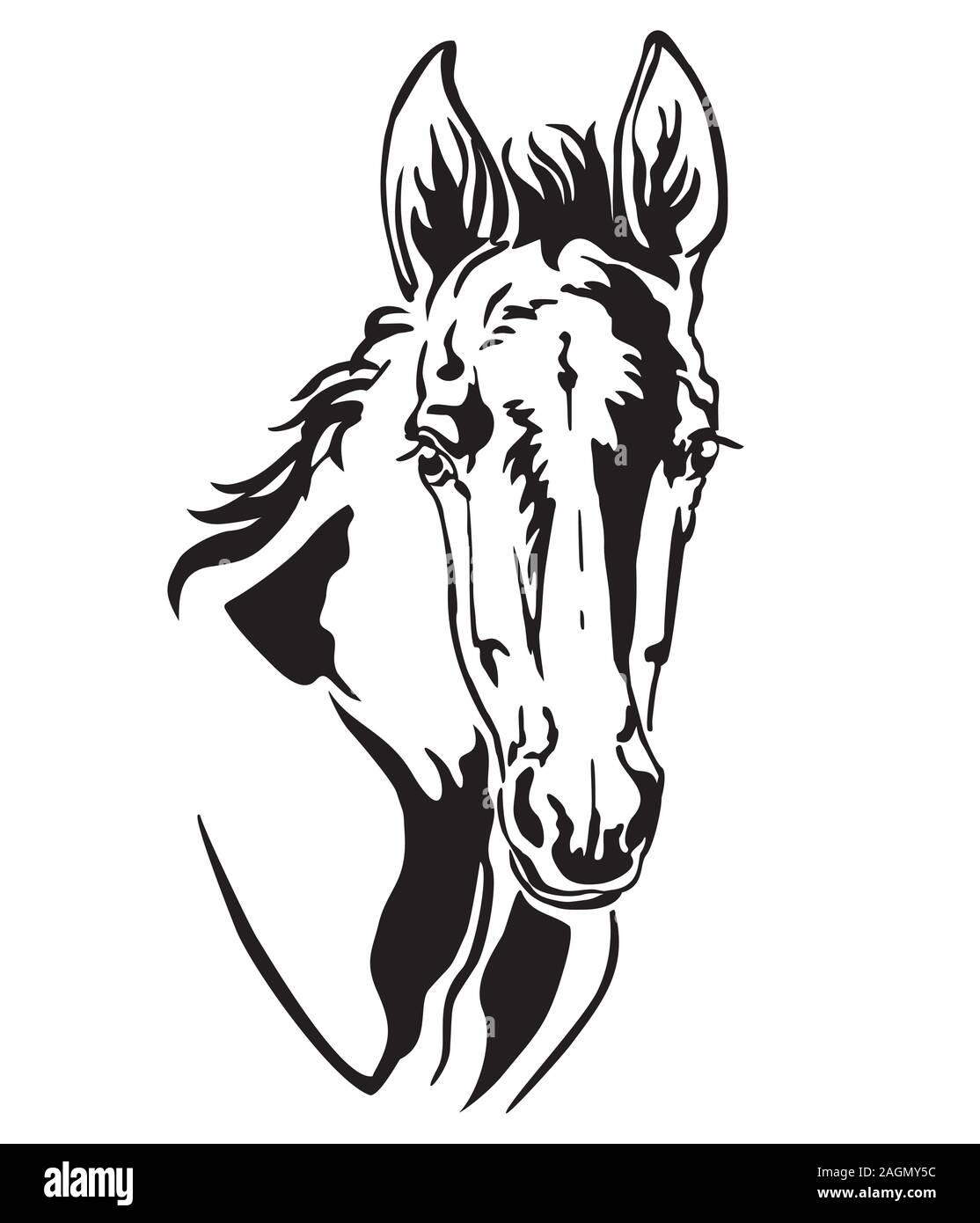 Decorativo contorno monocromatica ritratto di pretty puledro, illustrazione vettoriale in colore nero isolato su sfondo bianco. Immagine del logo, design e tat Illustrazione Vettoriale