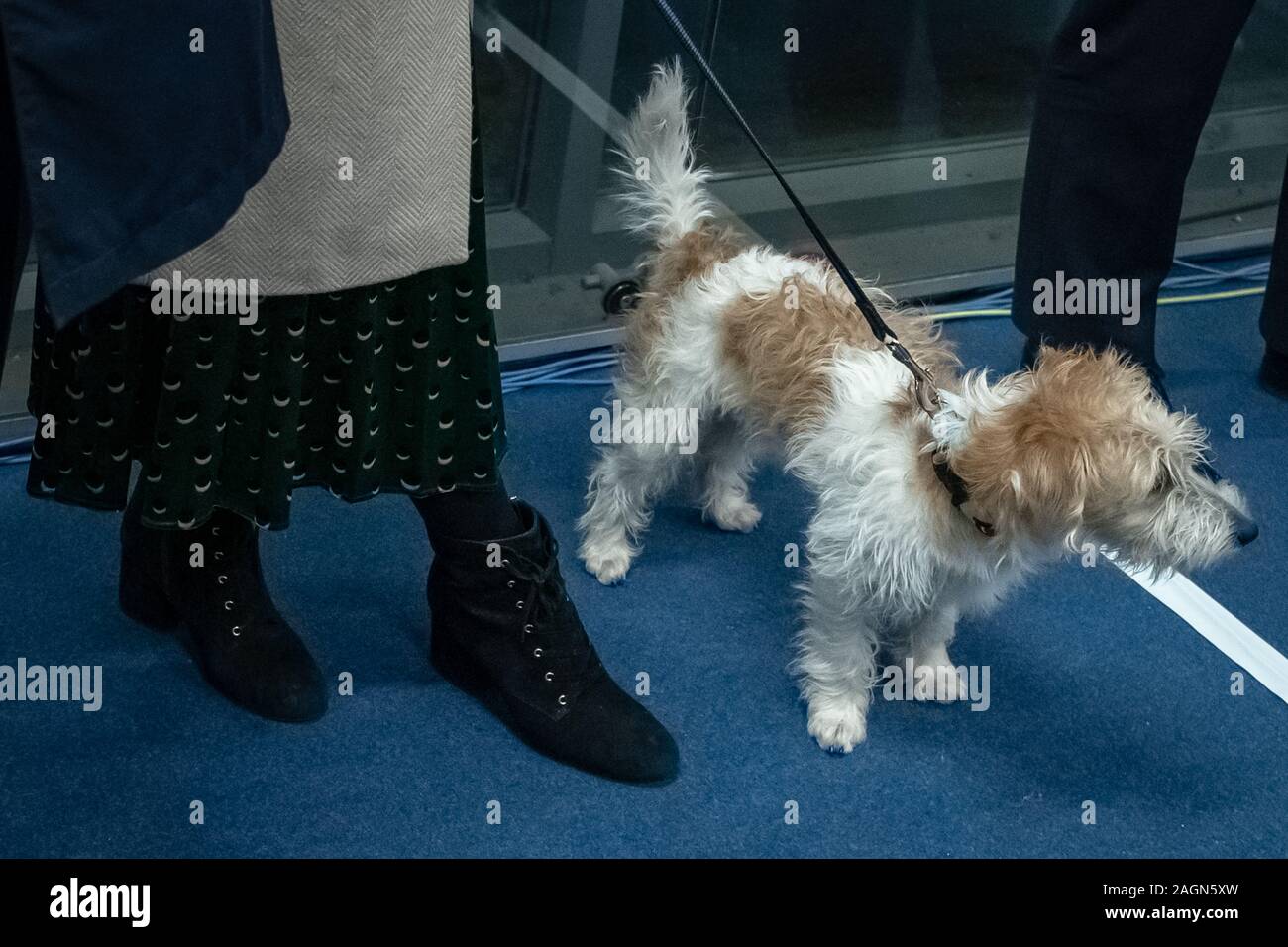 Elezioni generali Night 2019: Il partito conservatore sarebbe andato avanti per vincere una frana che assicura la loro maggioranza più grande dal 1987. Londra, Regno Unito Foto Stock